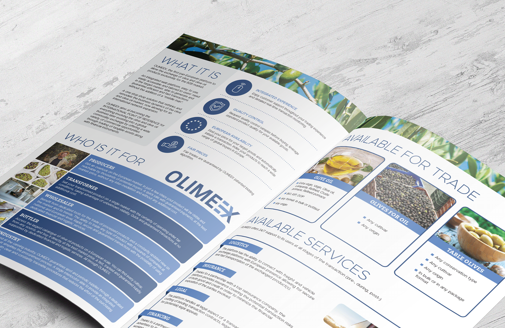 Bi-Fold Brochure Design for Olives and Olive Oil Company by Elivera Designs