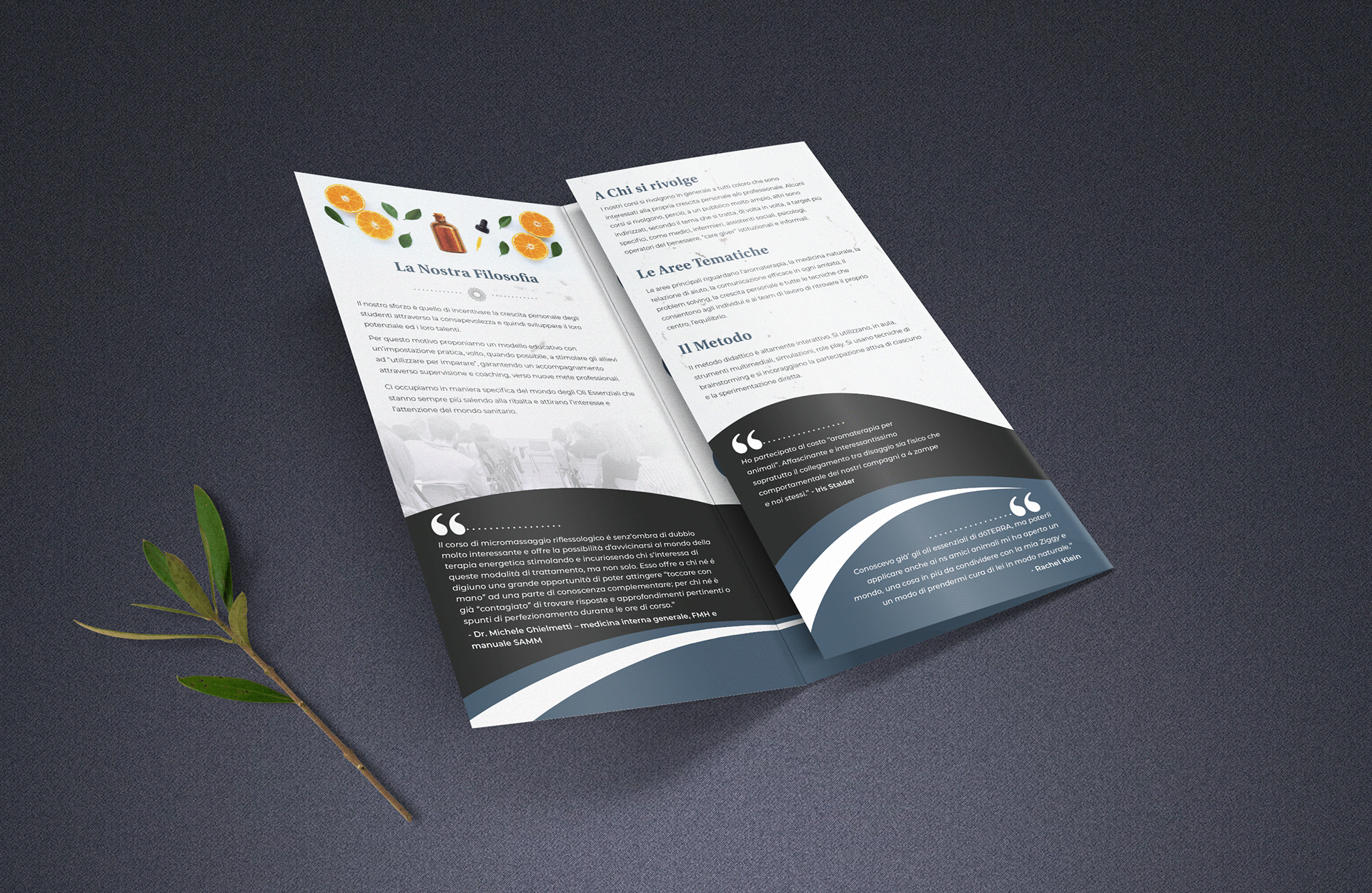 Trifold Brochure Design about Aromatherapy by Elivera Designs